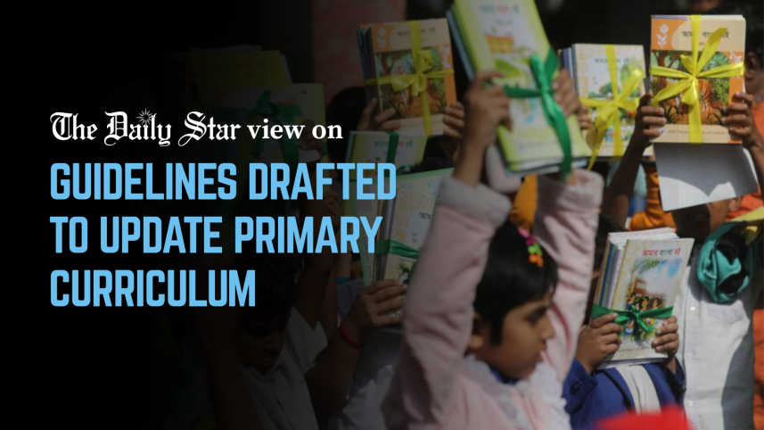 Editorial 1 Draft guidelines for updating primary curriculum.png