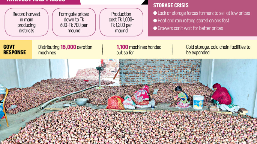 onion-harvest.jpg