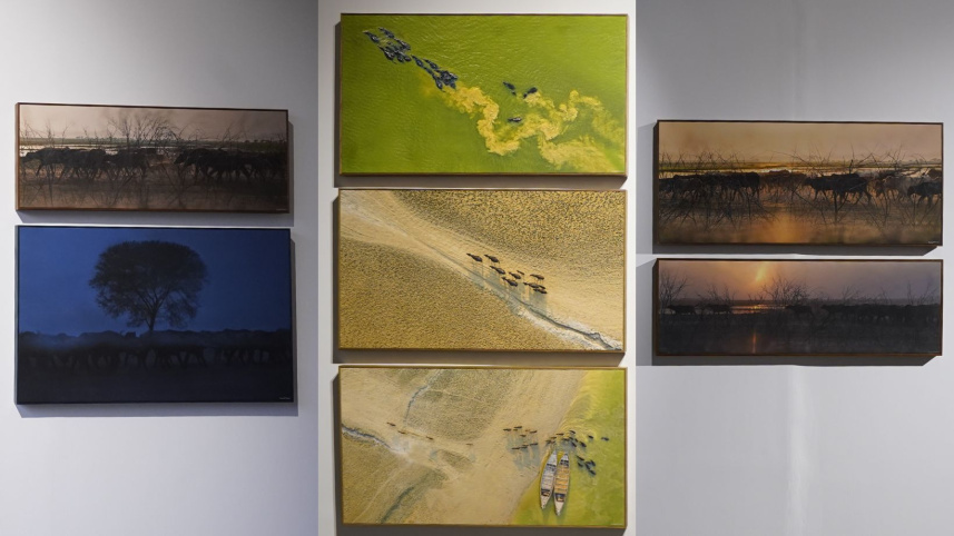 ‘The Quiet Within’: Exhibition blurs the line between photography and painting