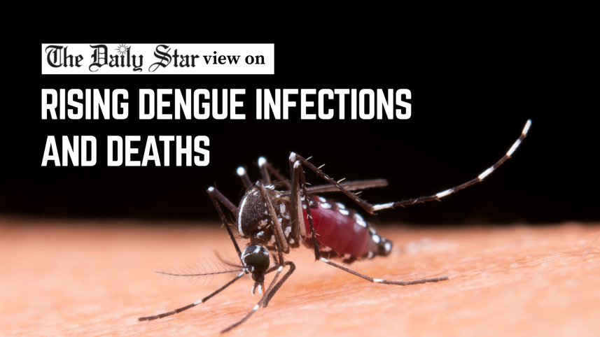 rising dengue infections and deaths