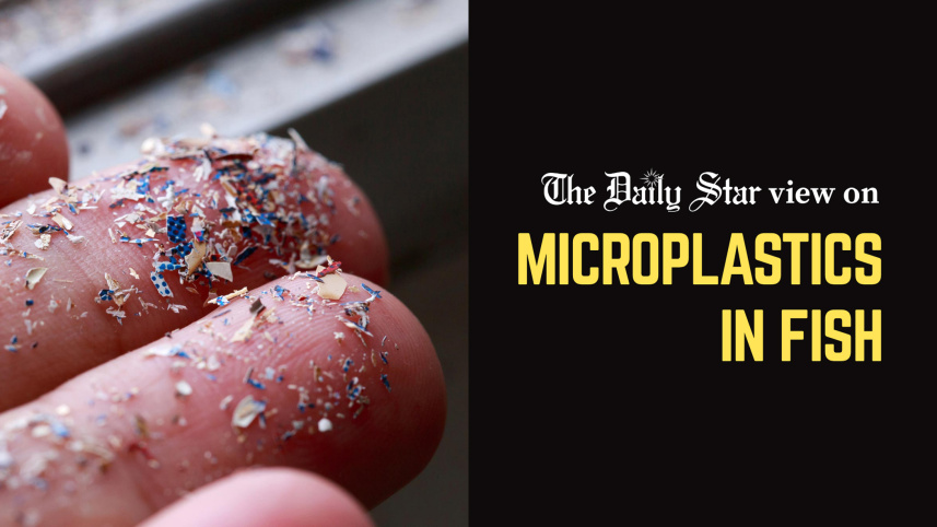Editorial_2__microplastics.jpg