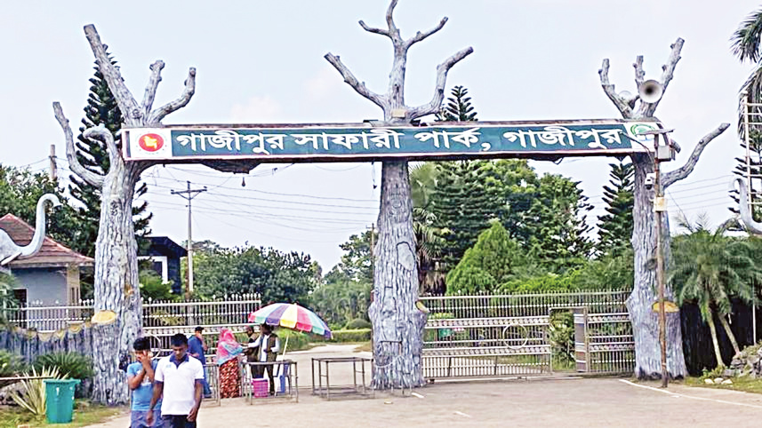 elephant deaths at Gazipur Safari Park