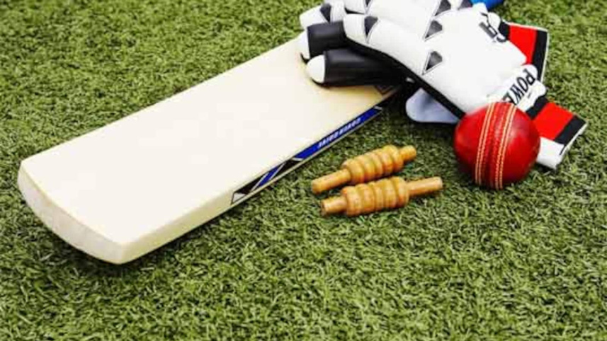 cricket image.jpg