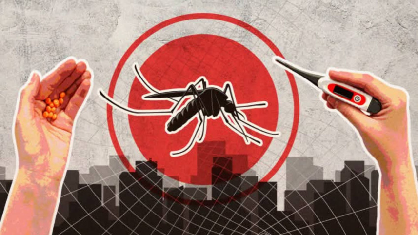 dengue.jpg