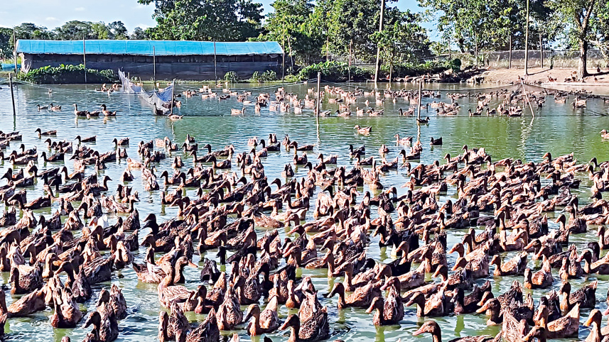 kuturikona_1.jpg