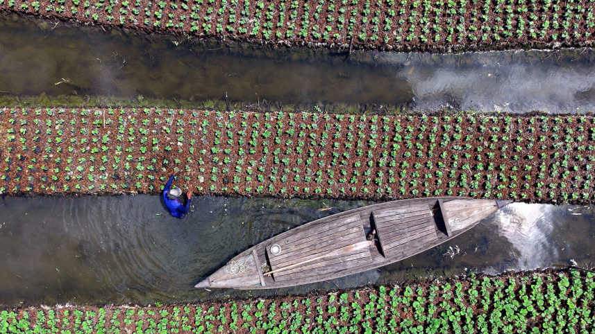 op2.jpg