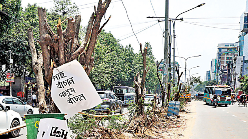 satmasjidroad.jpg