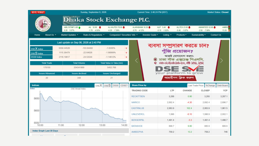 DSE fall.jpg