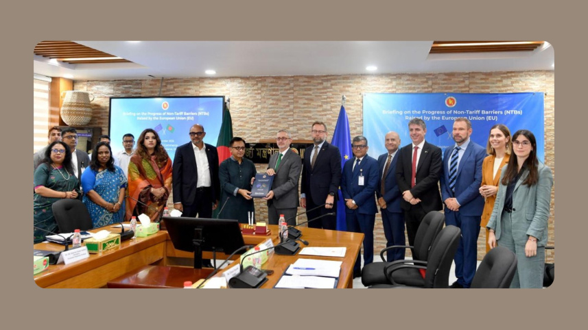 EU delegation.jpg