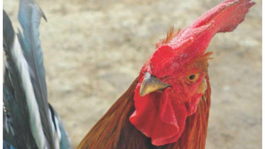 By the tranquil waters