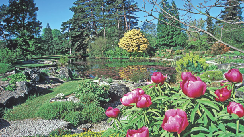 Cambridge: Of arts, architecture and history