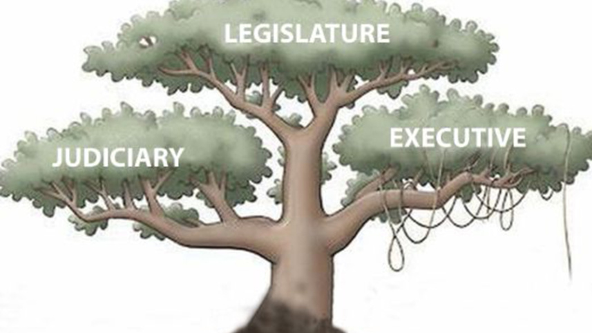 16th Amendment.jpg