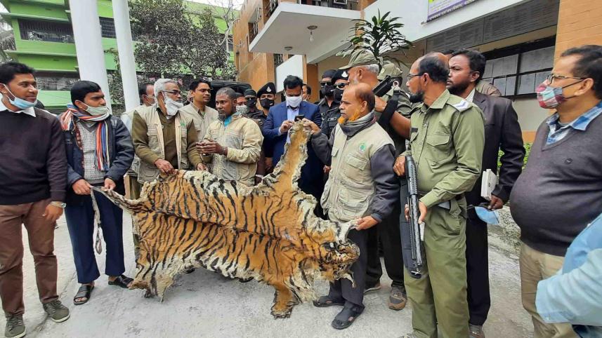 Bagerhat Tiger Skin