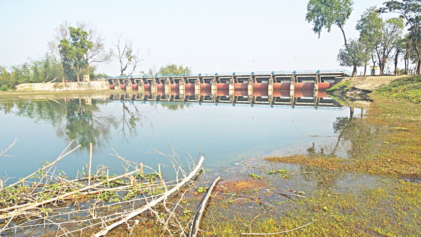 Criminals-drain-out-Buri-Teesta-reservoir.jpg