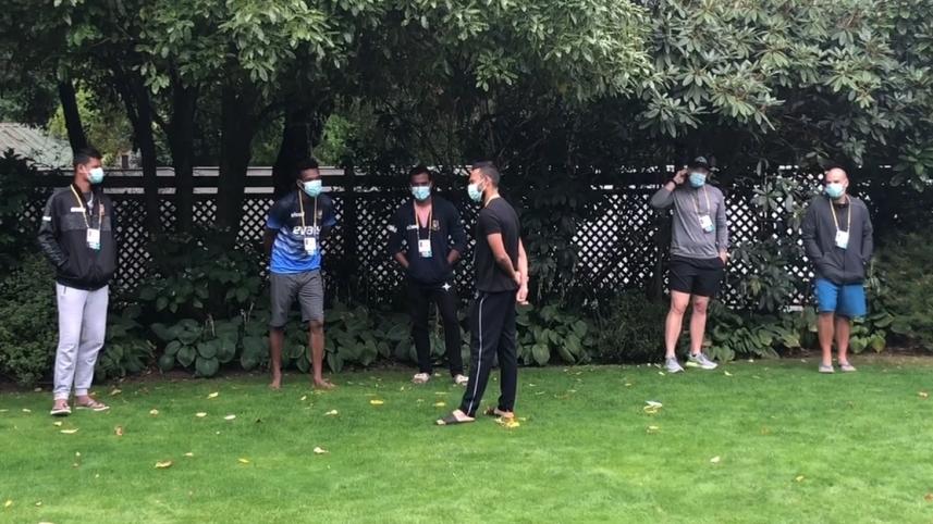 Tigers in New Zealand.jpg