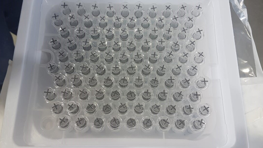 SA vaccine arrests 3.jpg