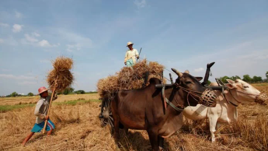 Myanmar food price-Final.png