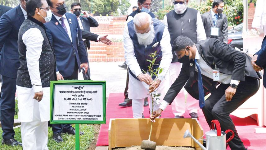 Modi-plants-an-Arjuna-sapling.jpg