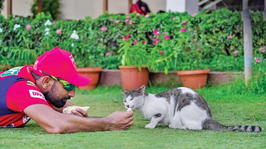 Punjab-Kings-pacer-Mohammed-Shami.jpg