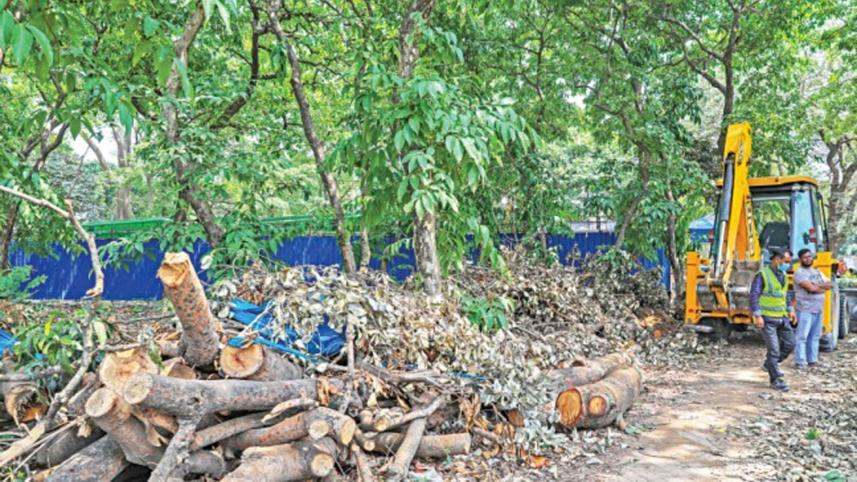 protect-trees-Suhrawardy-Udyan.jpg