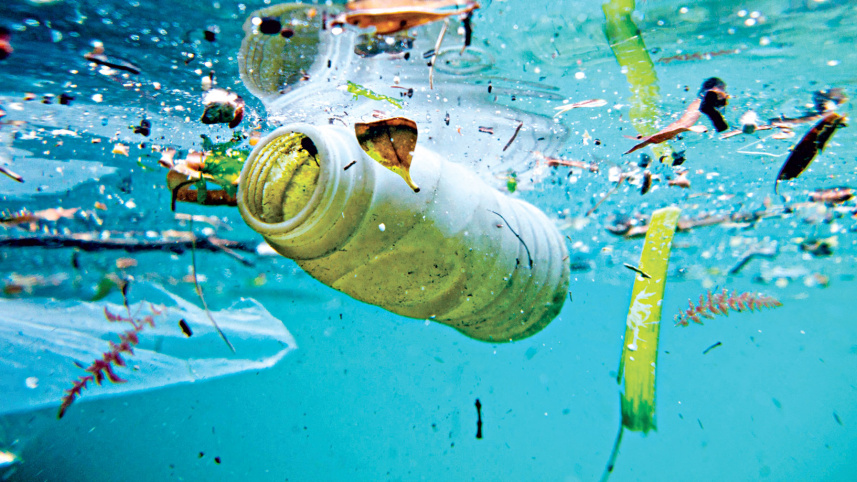 plastic-waste.jpg