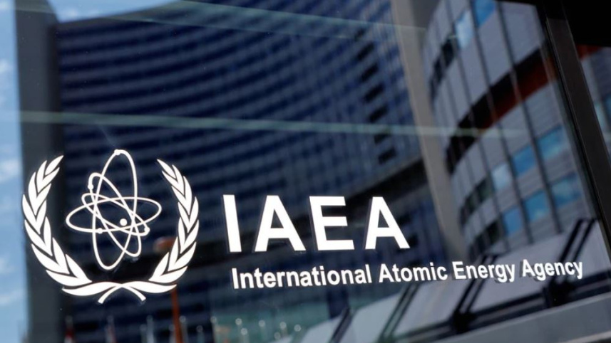 iaea.JPG