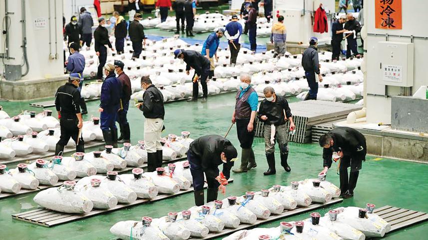 Toyosu-fish-market.jpg