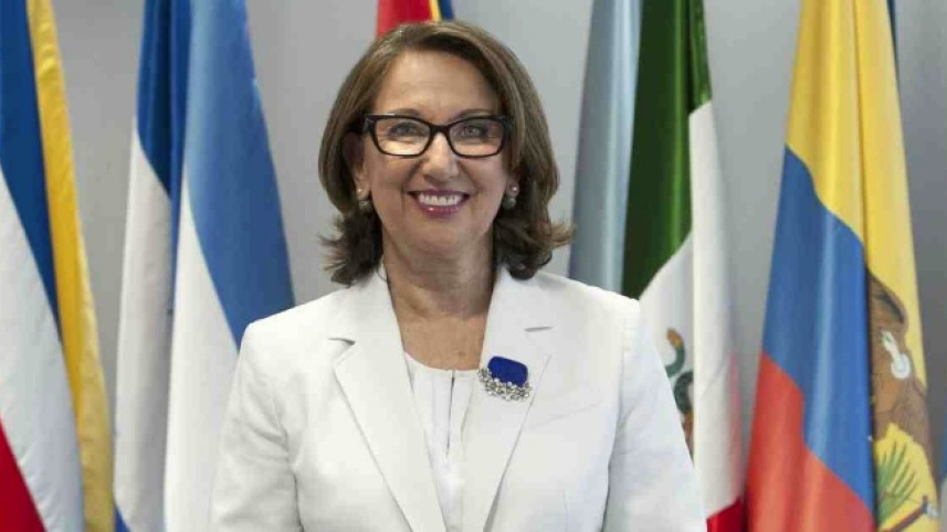 Rebeca Grynspan.jpg