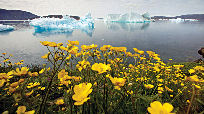Climate-change.jpg