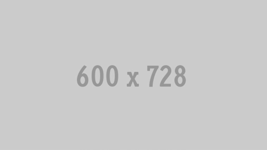 600x728.gif