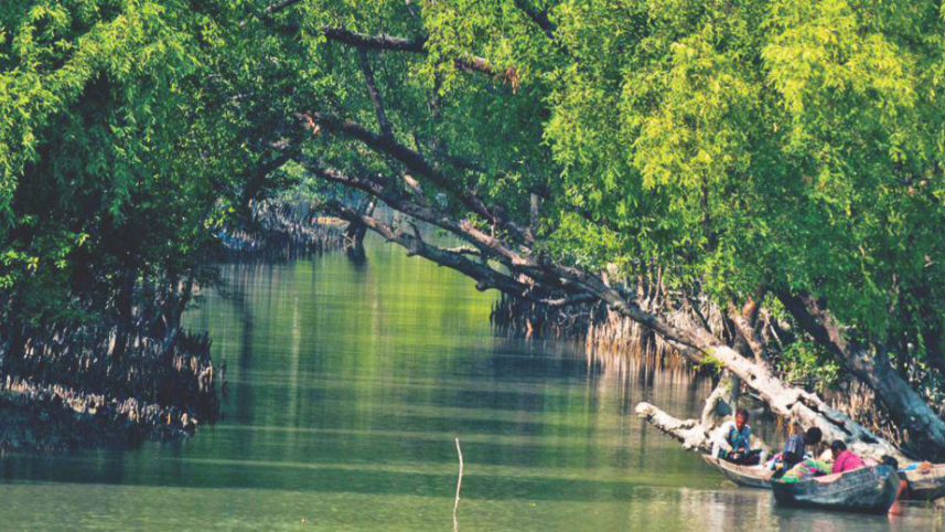 sundarban3.jpg