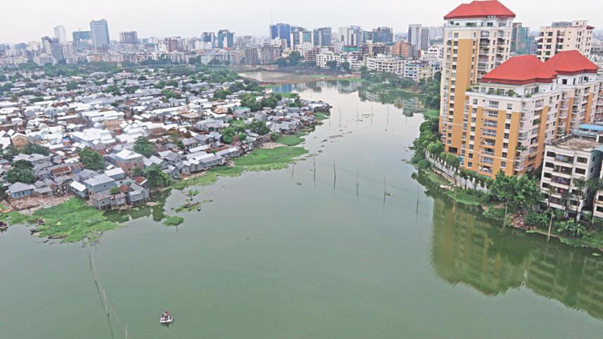 A contrasting view.jpg