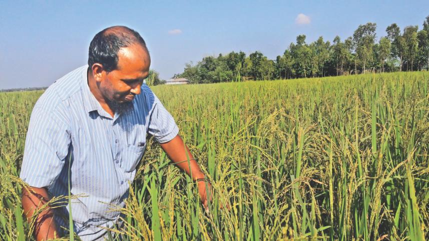 A farmer inspecting.jpg
