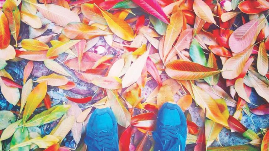 A Guide to Enjoying Early Mornings