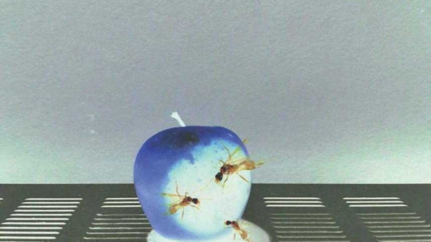 A light dimmed, a friend buried