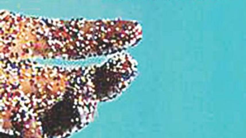 a million little pieces.jpg