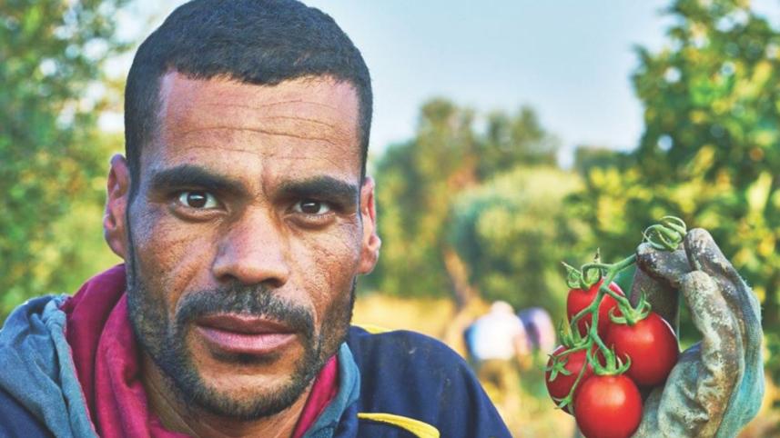 A tomato jar full of freedom