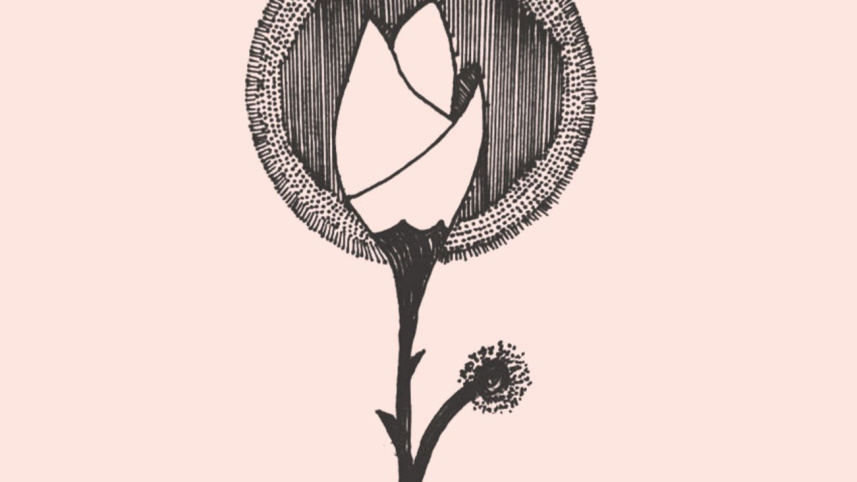 Abdul Halim Chowdhury