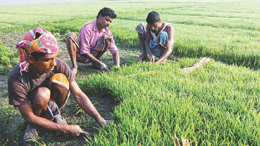 Agriculture lending picks.jpg