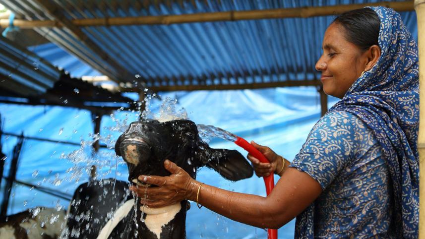 Future of food security