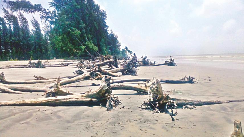 An erosion-hit stretch.jpg