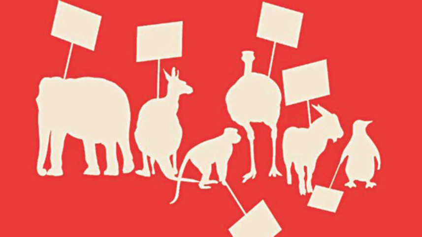 ANIMAL WELFARE BILL -  A LEGIT CONCERN