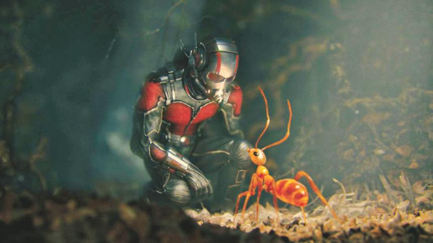 Ant Man