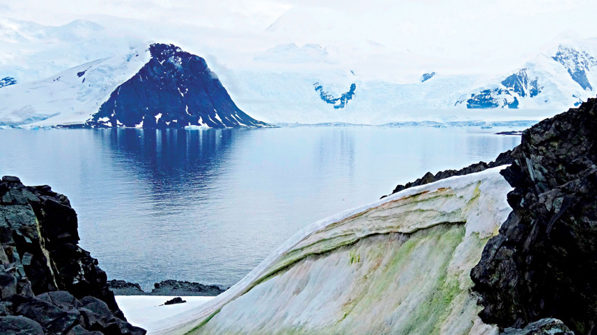 Antarctica-green.jpg