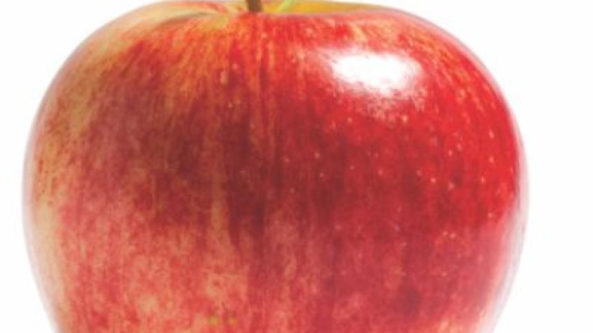 apple.jpg