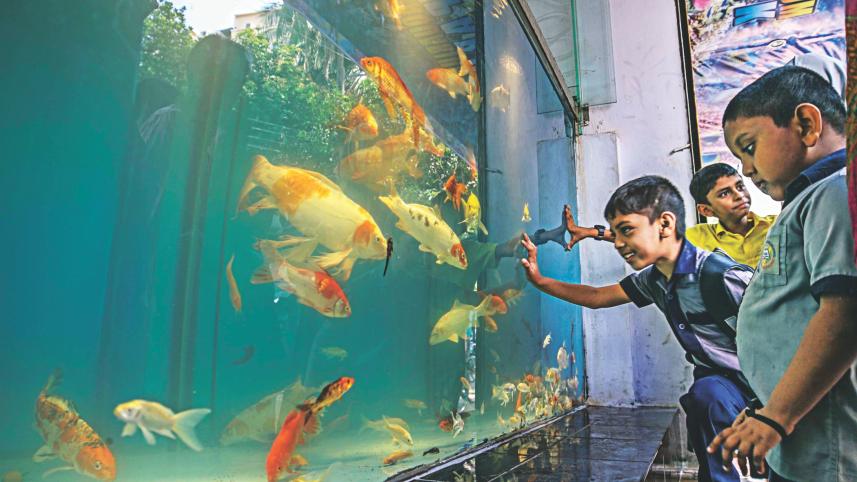 aquatic life fun environment.jpg