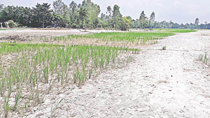 Arable lands sand.jpg