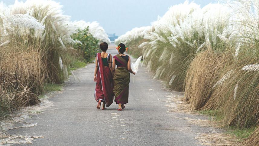 Are you being entertained