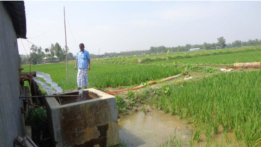 automated irrigation 1.jpg