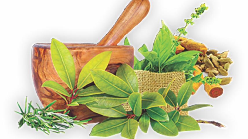 Ayurvedic medicines